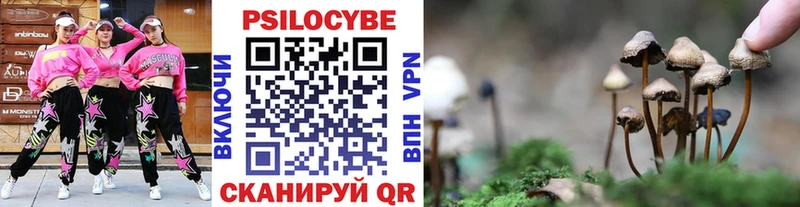 Псилоцибиновые грибы Magic Shrooms  Купить  Урень 